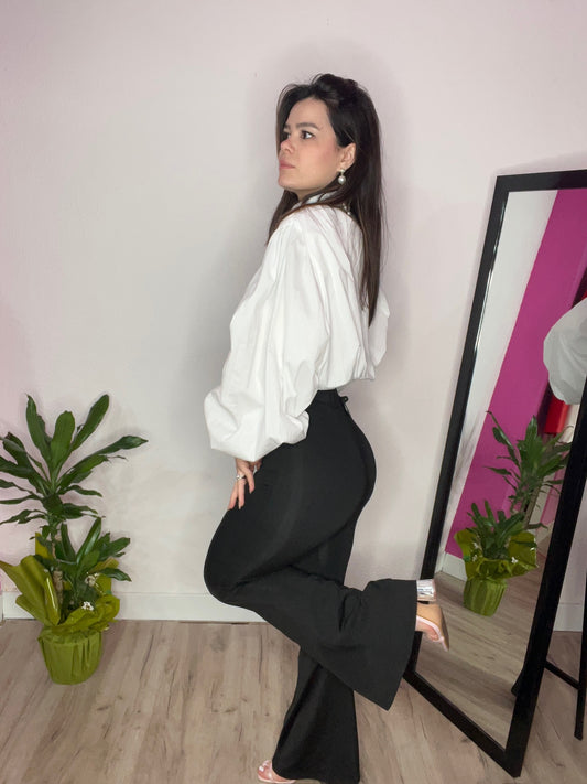 Panta Basic