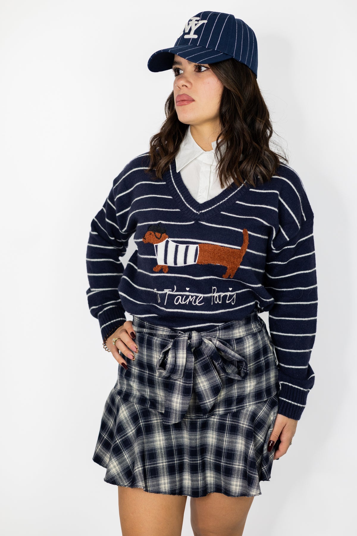 pull bassotto